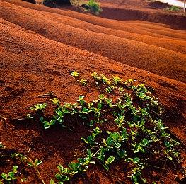 《刺客信条：影》艺术设定图 奈绪江弥助威风凛凛